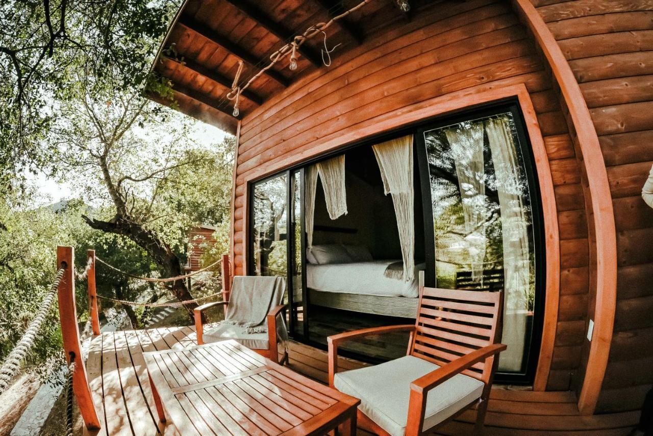 Boskenvid Hotel Boutique, Skypool Valle de Guadalupe Exterior foto